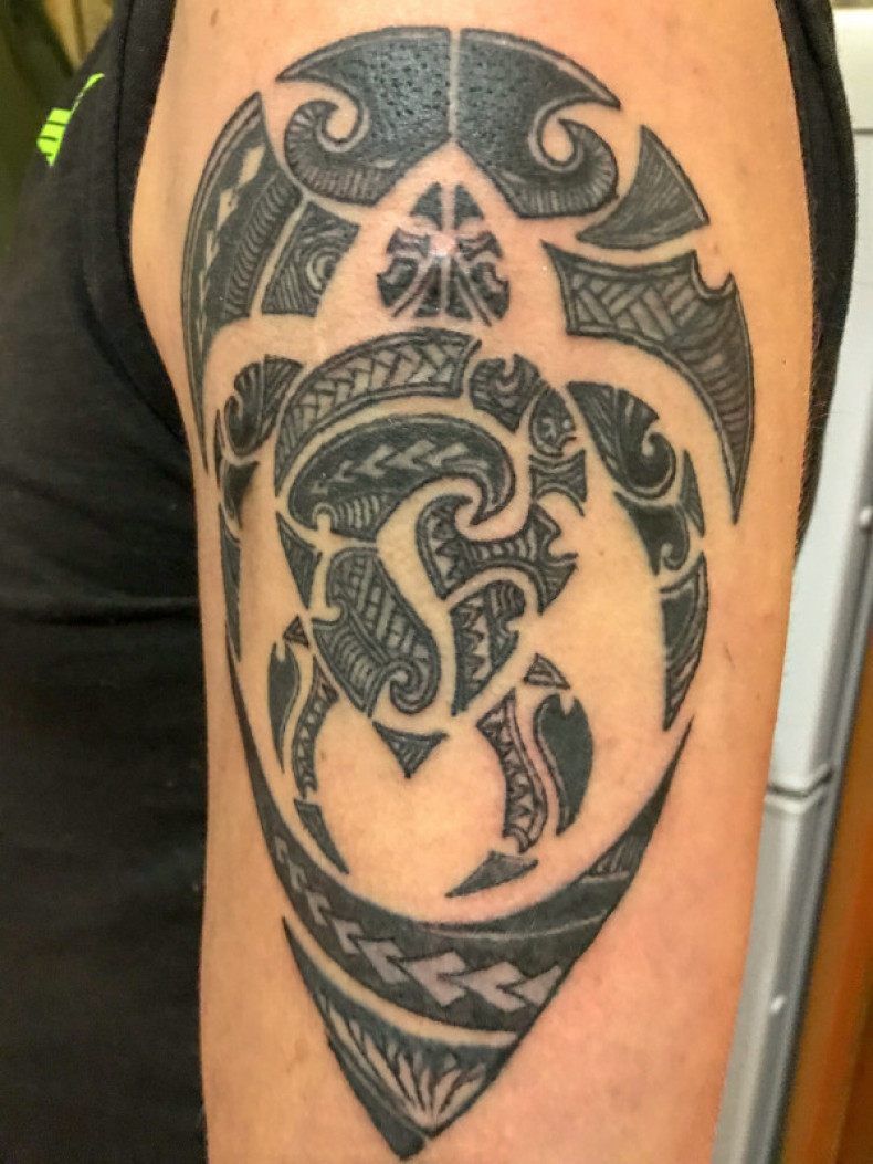 Polynesian turtle, photo - Tattoo Master Barb Tattoo