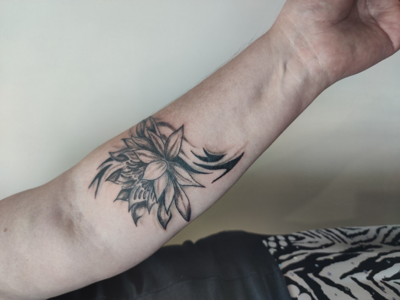 Kwiat lotosu, photo - Tatuażysta Barb Tattoo