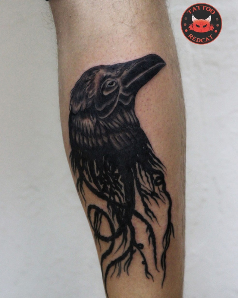 Blackwork kruk, photo - Tatuażysta Barb Tattoo