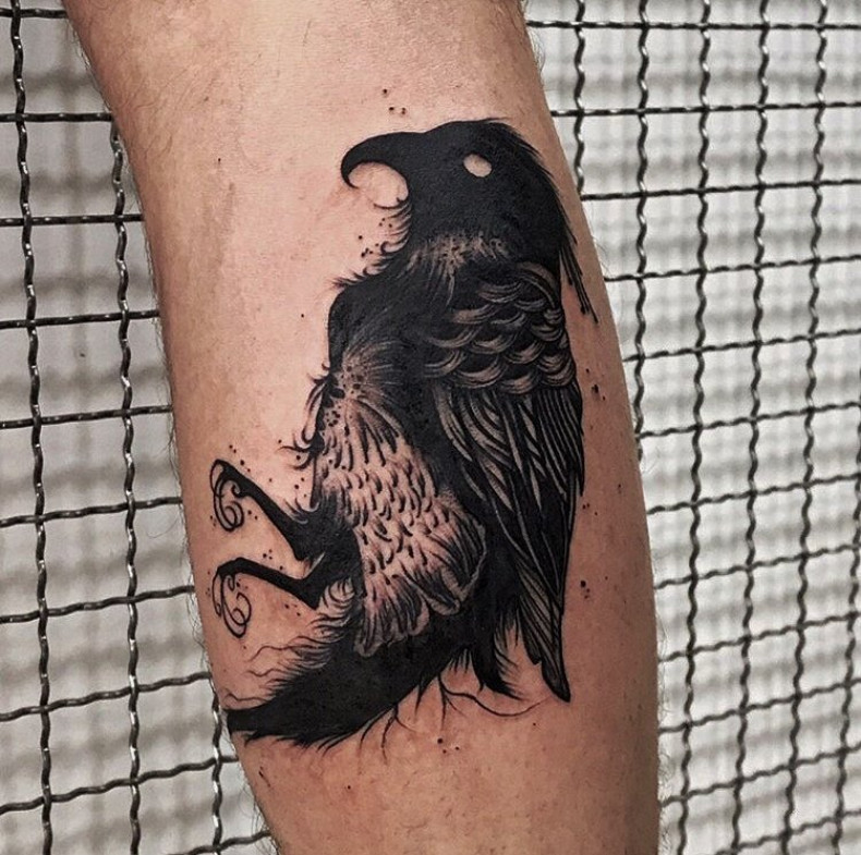 Kruk, photo - Tatuażysta Barb Tattoo