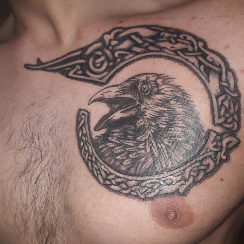 Kruk, photo - Tatuażysta Barb Tattoo