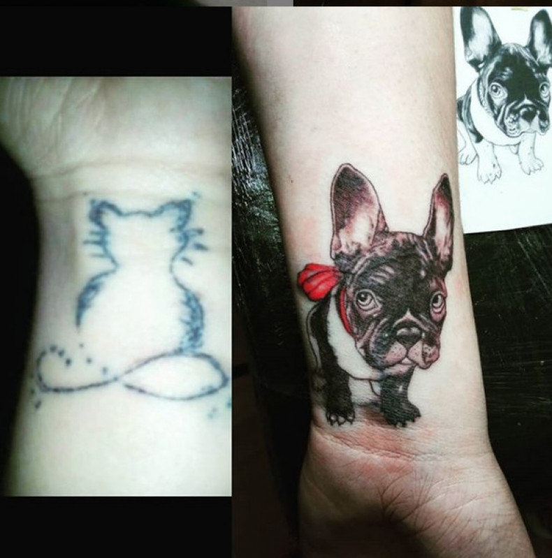 Buldog powrót do zdrowia pies, photo - Tatuażysta Barb Tattoo