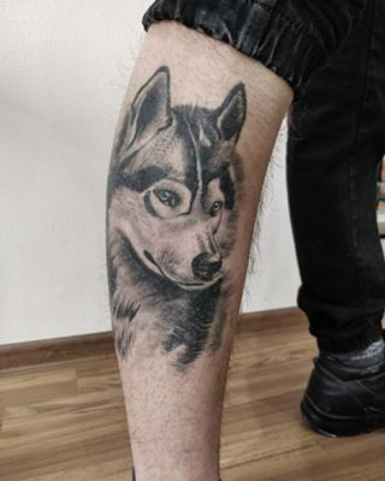 Собака хаски, photo - Тату мастер Barb Tattoo