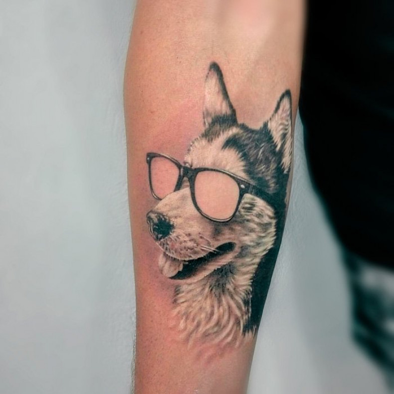 Tattoo dog in glasses black and white, photo - Tattoo Master Barb Tattoo