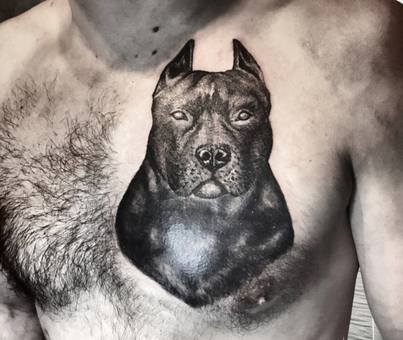 Blackwork dotwork Pitbull, photo - Tattoo-Meister Barb Tattoo