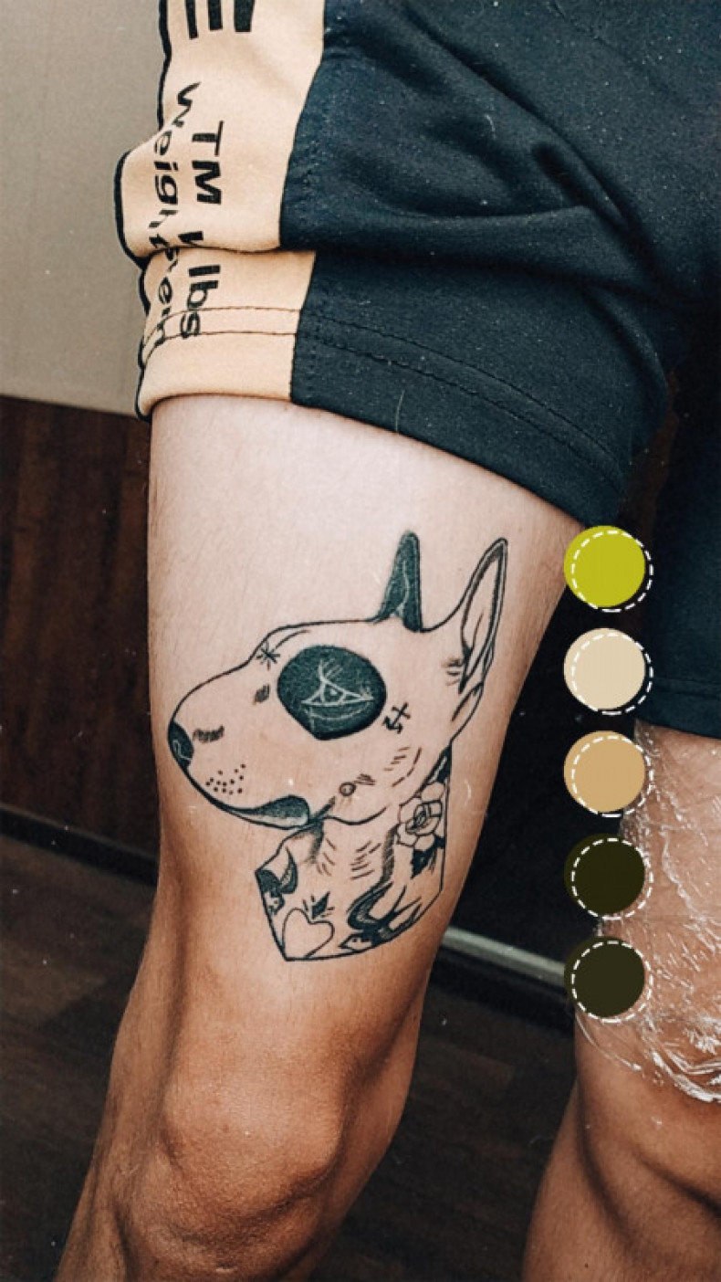 Bull terrier dog, photo - Tattoo Master Barb Tattoo