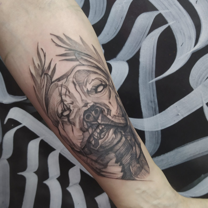 Pitbull dog, photo - Tattoo Master Barb Tattoo