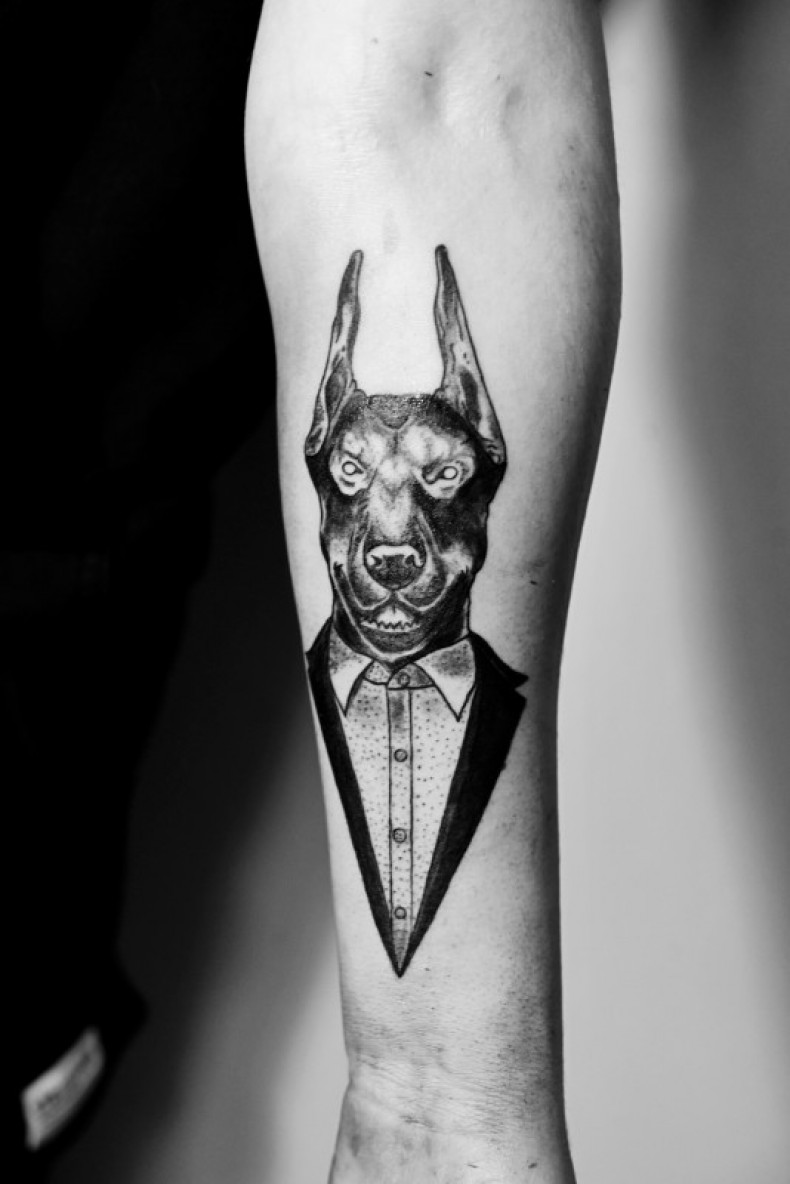 Doberman dog, photo - Tattoo Master Barb Tattoo