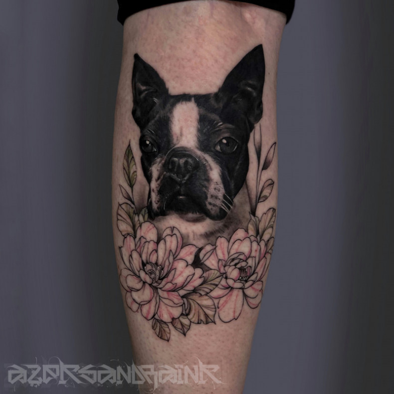 Bulldog dog, photo - Tattoo Master Barb Tattoo