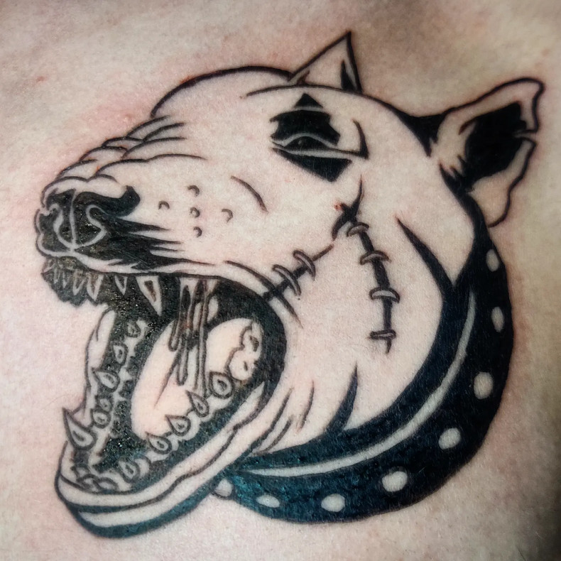 Bull terrier dog, photo - Tattoo Master Barb Tattoo