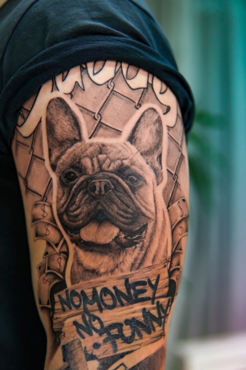 Bulldogge Hund, photo - Tattoo-Meister Barb Tattoo