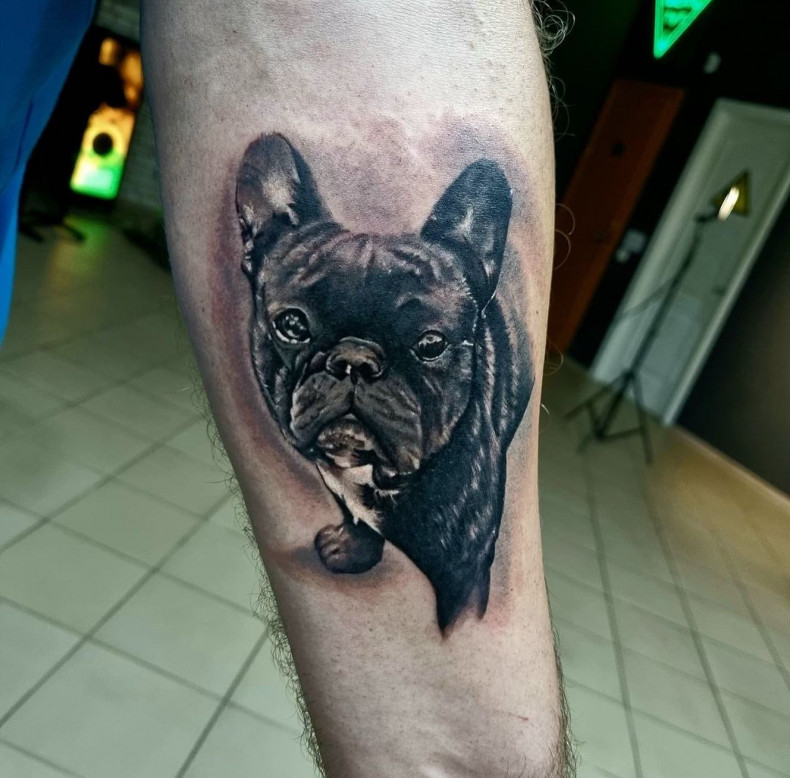 French bulldog tattoo by master Andriy #tattoobulldog, photo - Tattoo Master Barb Tattoo