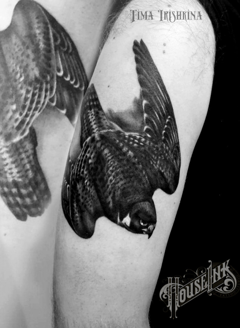 Blackwork falcon, photo - Tattoo Master Barb Tattoo