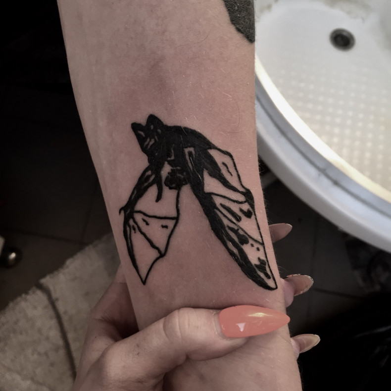 Blackwork bat, photo - Tattoo Master Barb Tattoo