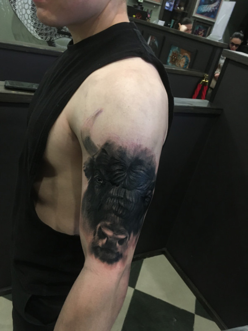 Blackwork buffalo bull, photo - Tattoo Master Barb Tattoo