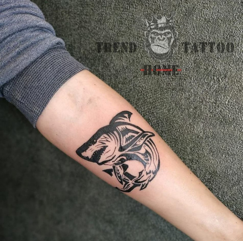 Rekin, photo - Tatuażysta Barb Tattoo