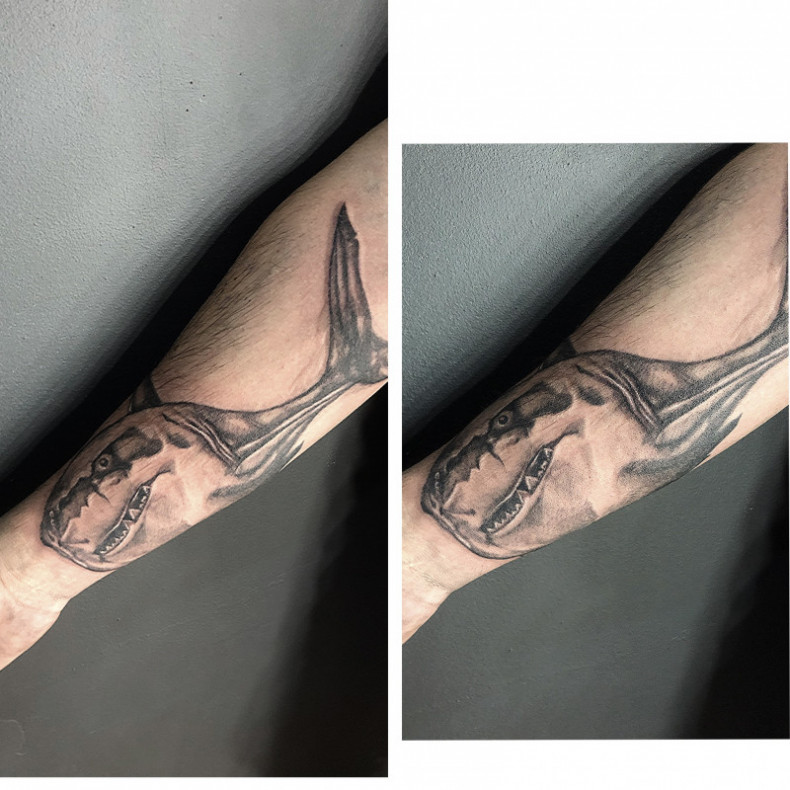 Rekin, photo - Tatuażysta Barb Tattoo