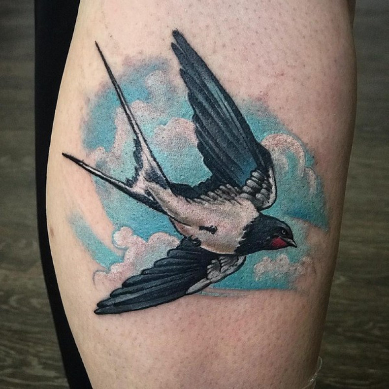 Jaskółka, photo - Tatuażysta Barb Tattoo