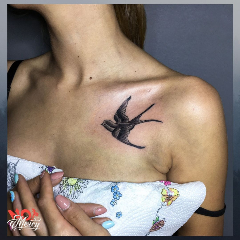 Jaskółka obojczyk ptak, photo - Tatuażysta Barb Tattoo