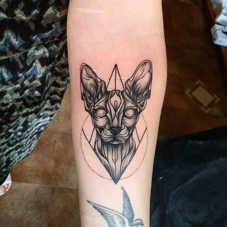 Кошка сфинкс, photo - Тату мастер Barb Tattoo