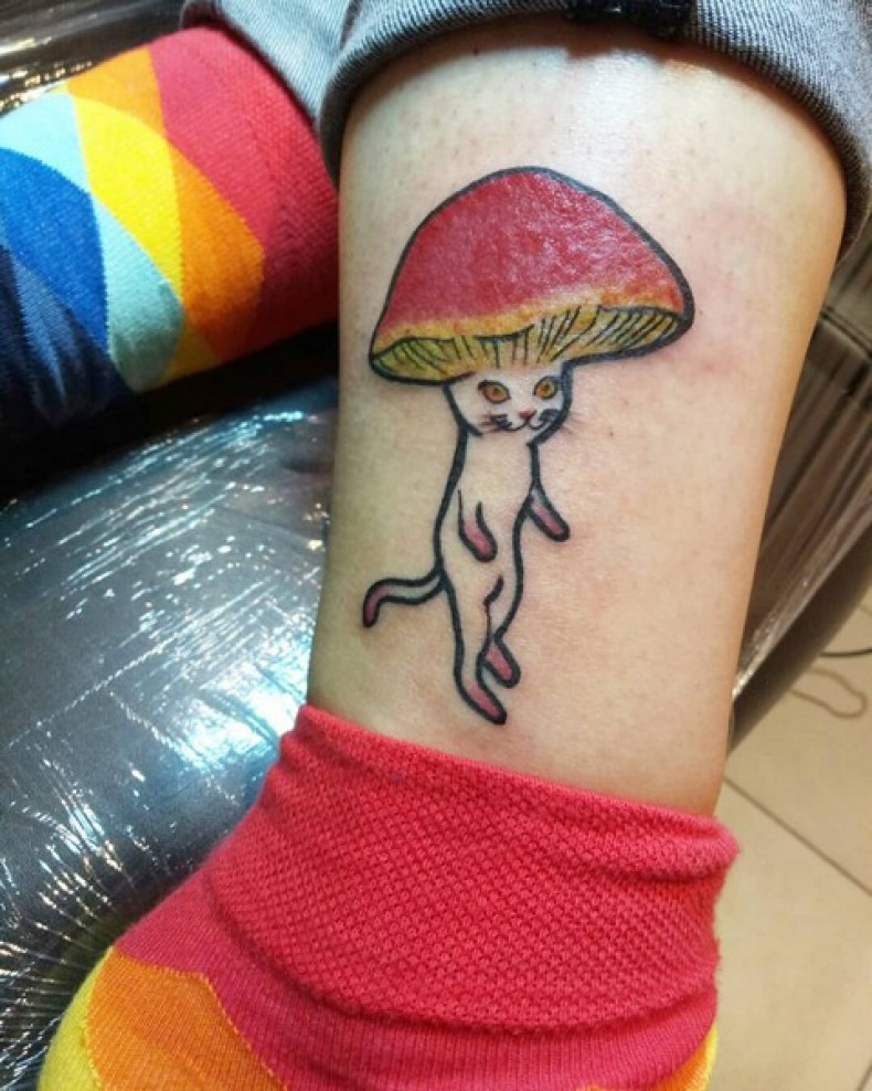 Mushroom cat, photo - Tattoo Master Barb Tattoo