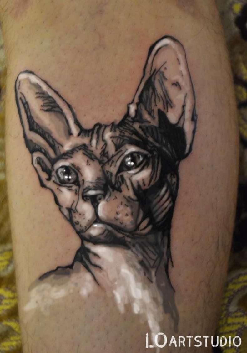 Кошка сфинкс, photo - Тату мастер Barb Tattoo