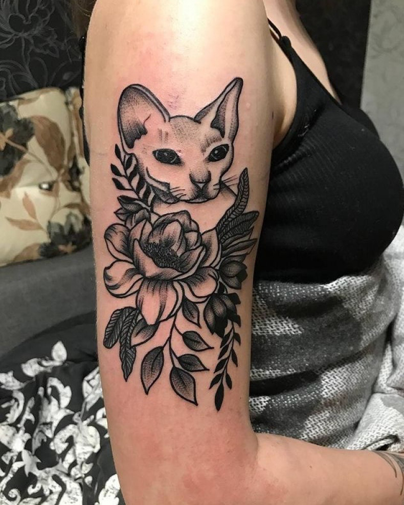 Кошка сфинкс, photo - Тату мастер Barb Tattoo