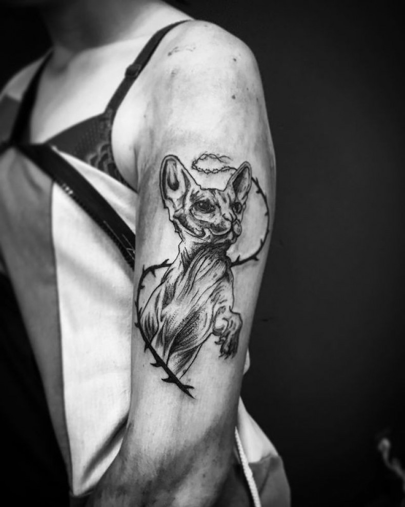 Cat sphinx, photo - Tattoo Master Barb Tattoo