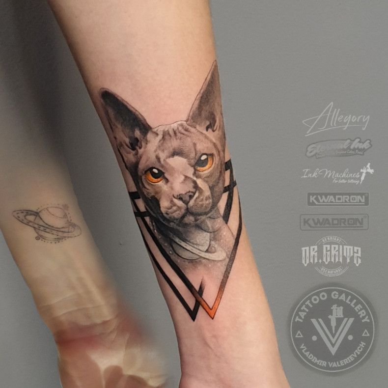 Katze sphinx dreieck, photo - Tattoo-Meister Barb Tattoo