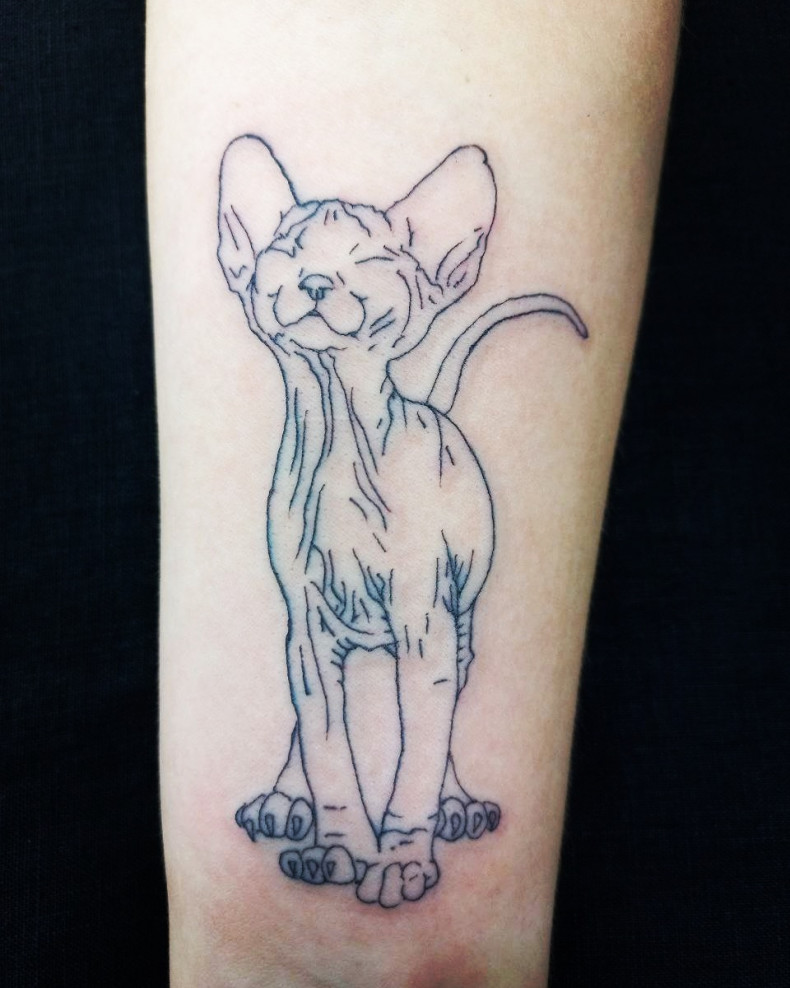 Cat sphinx, photo - Tattoo Master Barb Tattoo