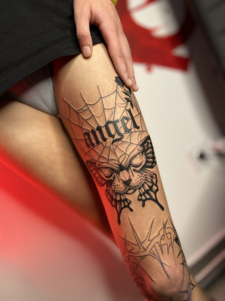 Motyl kot pajęczyna, photo - Tatuażysta Barb Tattoo