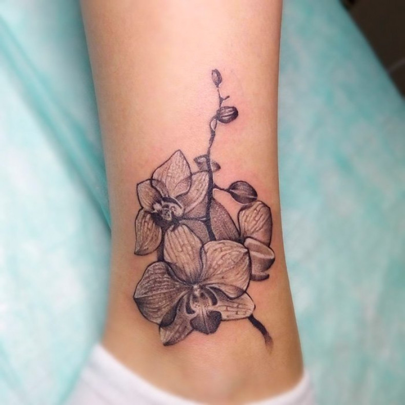 Czarno-biały tatuaż z orchideą, photo - Tatuażysta Barb Tattoo