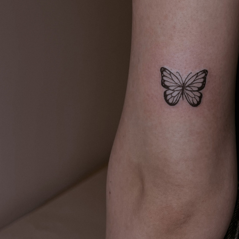  #tatuaż motylkowy, photo - Tatuażysta Barb Tattoo