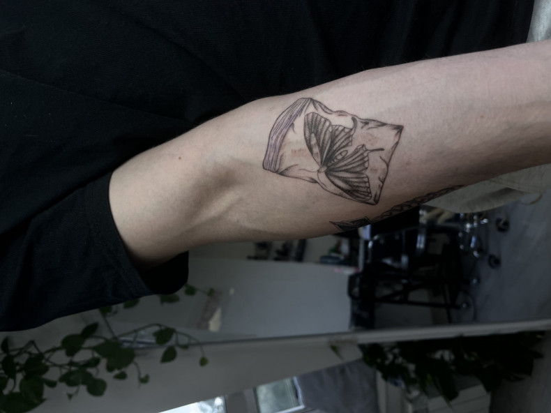 Бабочка книга мотылек, photo - Тату мастер Barb Tattoo