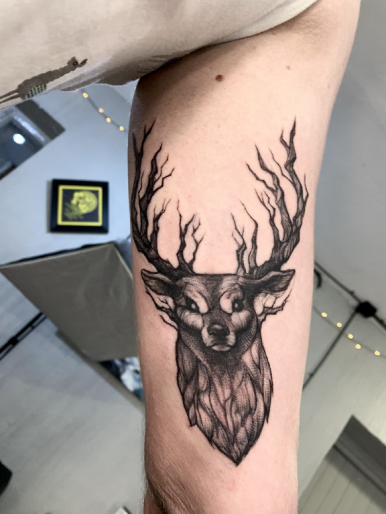 Олень, photo - Тату мастер Barb Tattoo