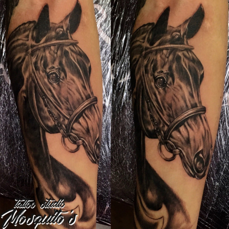 Horse, photo - Tattoo Master Barb Tattoo