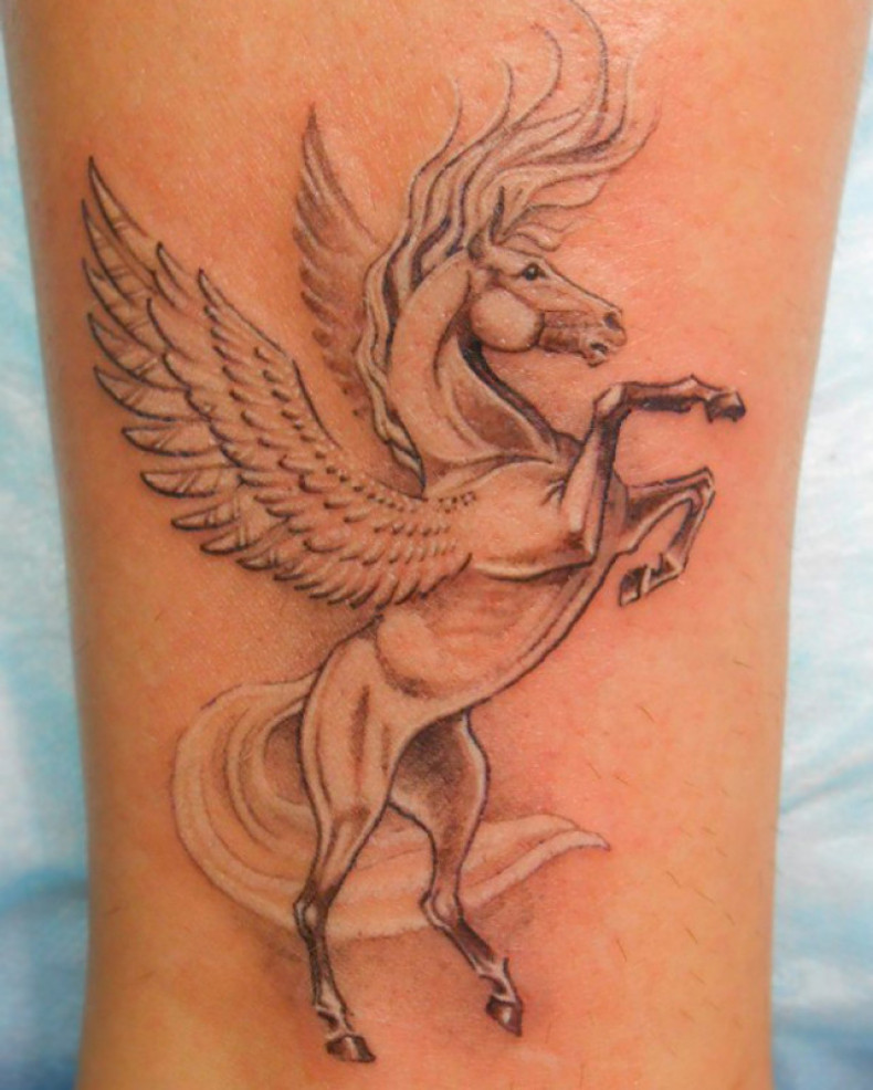 Tattoo horse with wings, photo - Tattoo Master Barb Tattoo