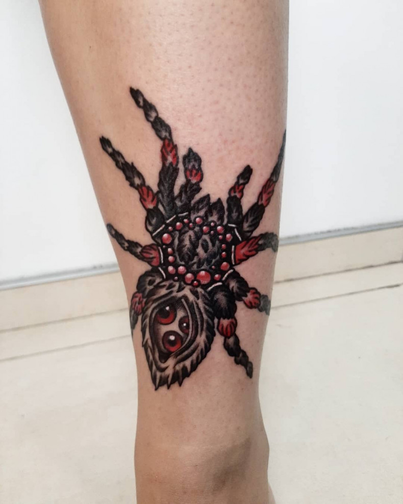 Spider, photo - Tattoo Master Barb Tattoo