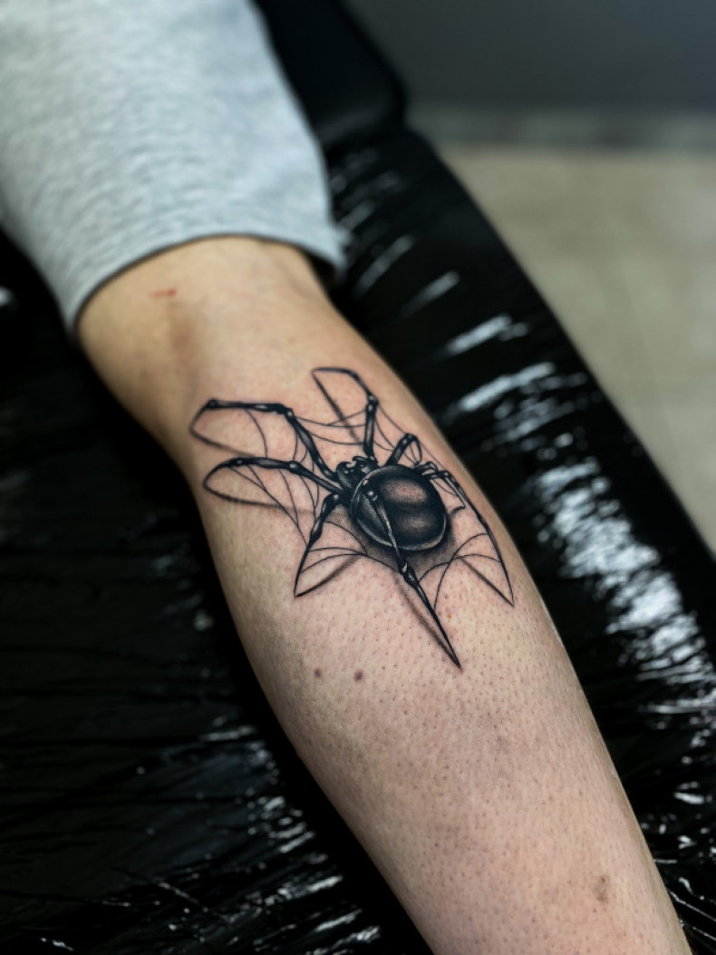 3d крутые паук, photo - Тату мастер Barb Tattoo