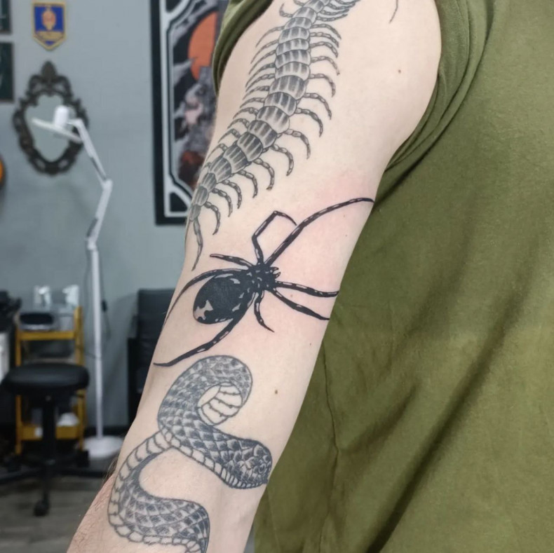 Tattoo Spider Kijów #tatukiyiv #tatukiyev, photo - Tatuażysta Barb Tattoo