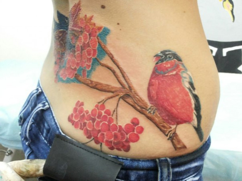 Vogel Beere, photo - Tattoo-Meister Barb Tattoo