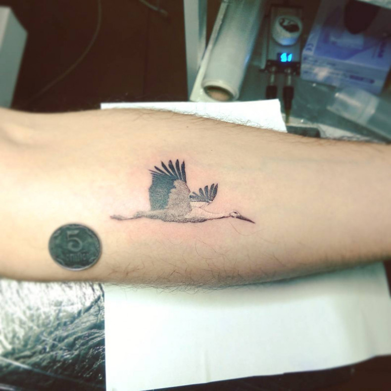 Bocian tatuaż, photo - Tatuażysta Barb Tattoo