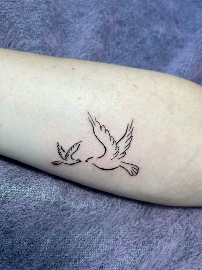 Pigeon small mini, photo - Tattoo Master Barb Tattoo