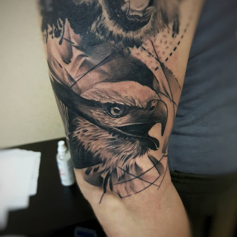 Orzeł, photo - Tatuażysta Barb Tattoo