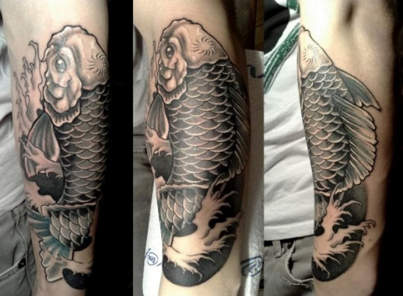 Black and grey carp fish, photo - Tattoo Master Barb Tattoo