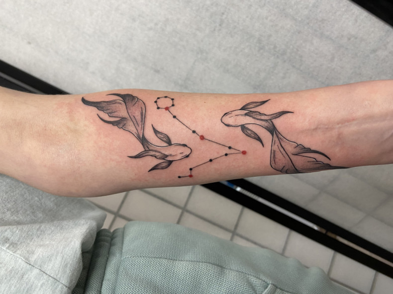 Gold fish constellation, photo - Tattoo Master Barb Tattoo