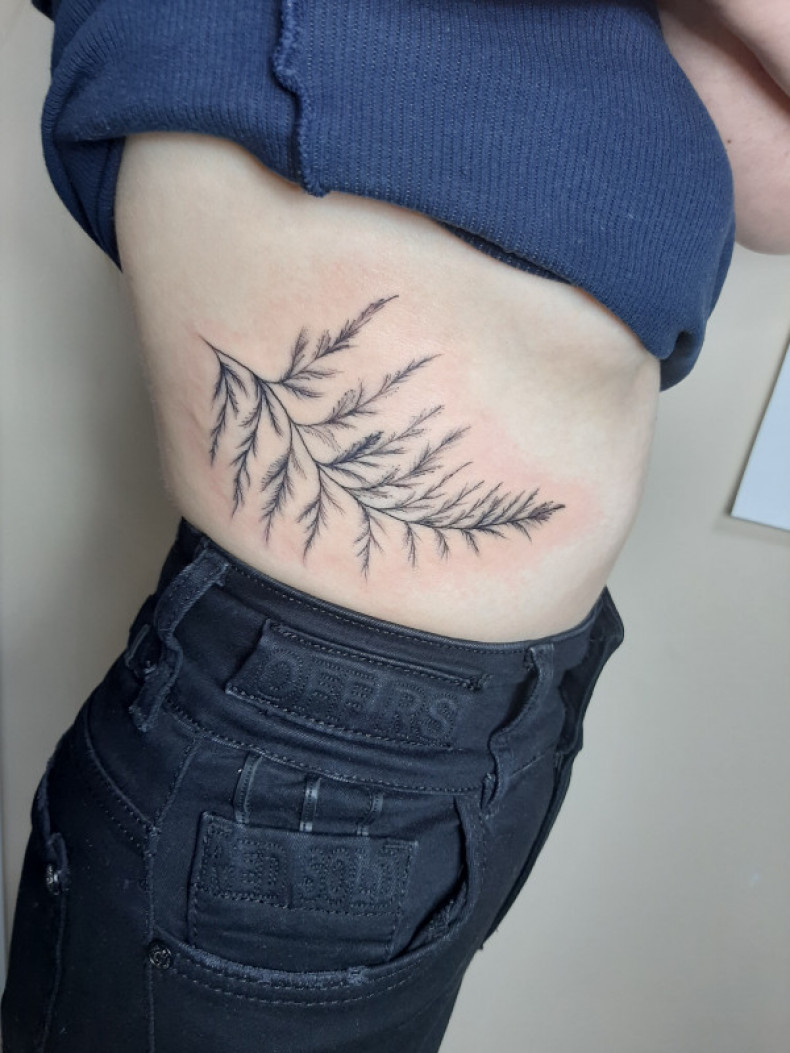 Twig branch, photo - Tattoo Master Barb Tattoo