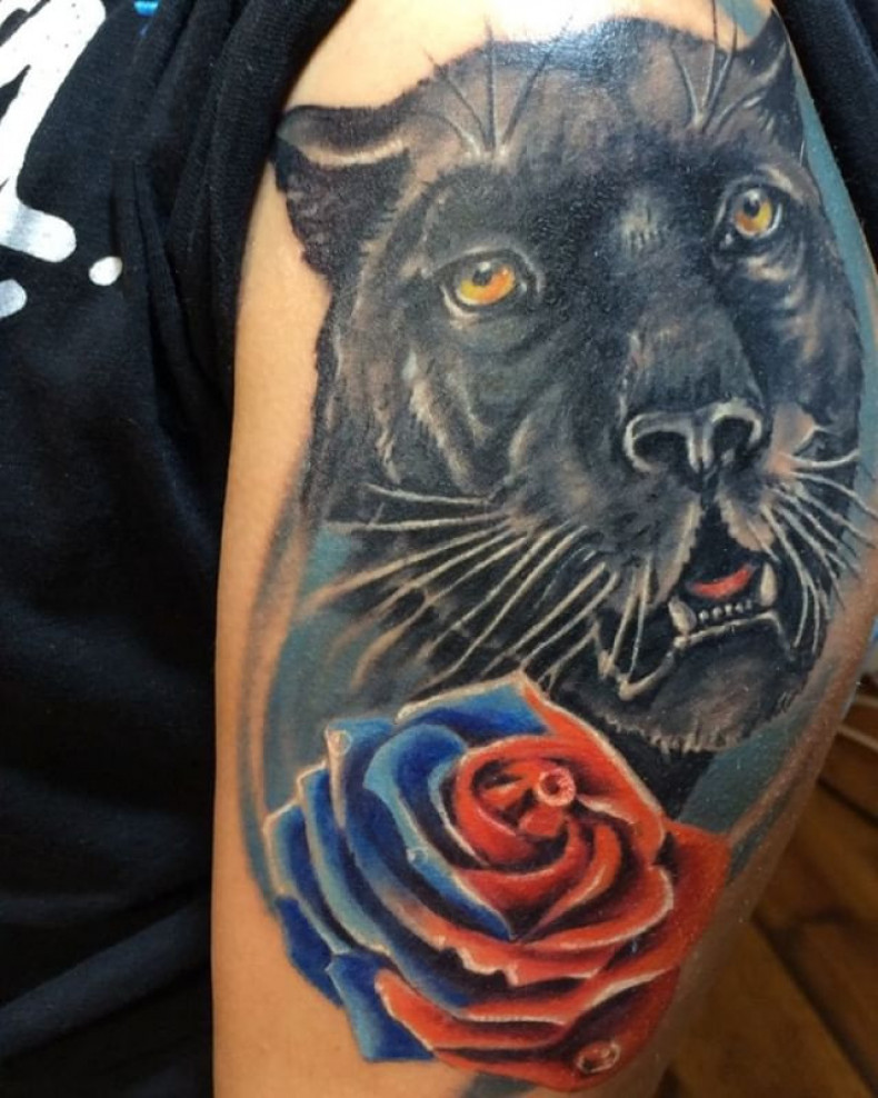 Panther, photo - Tattoo Master Barb Tattoo