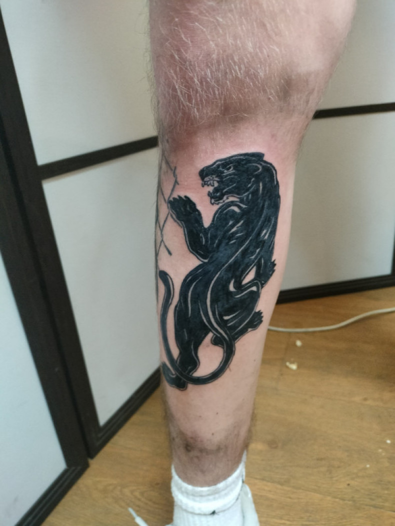 Panther, photo - Tattoo-Meister Barb Tattoo