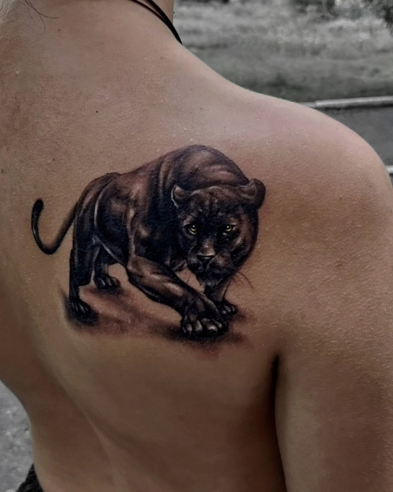 Schulterblatt panther, photo - Tattoo-Meister Barb Tattoo